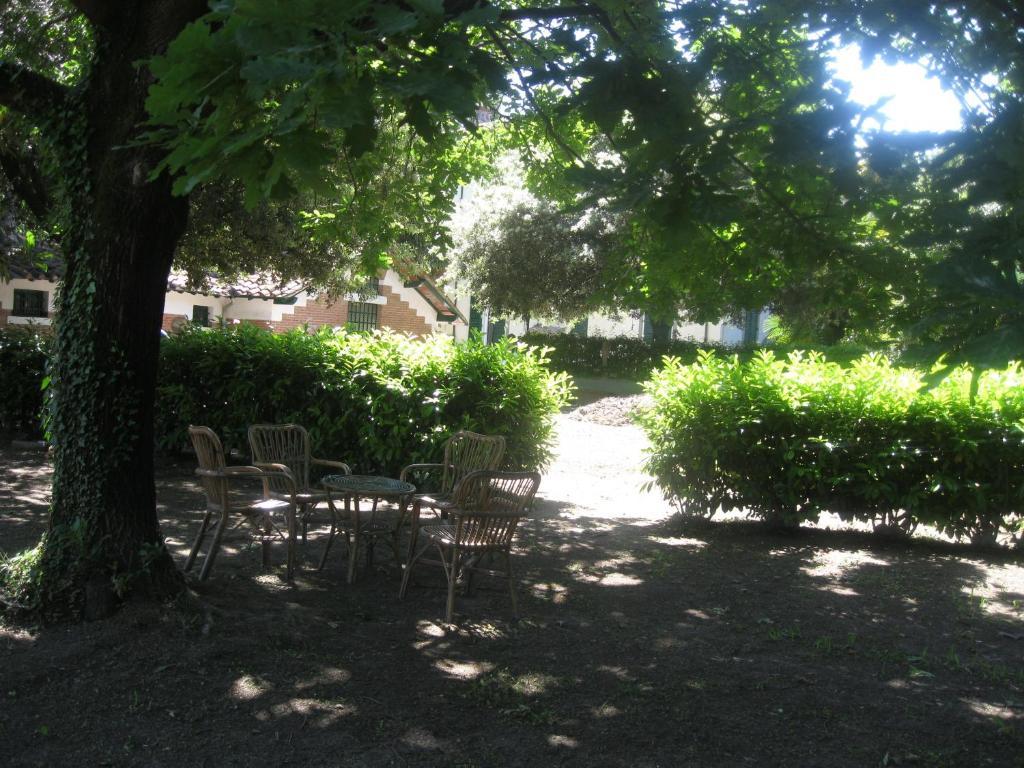 Villa Patrizia B&B Лукка Екстер'єр фото